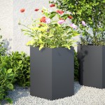 vidaXL Jardiniere grădină, 2 buc. antracit 46x40x45 cm oțel hexagonală vidaXL Jardiniere grădină, 2 buc. antracit 46x40x45 cm oțel hexagonală