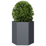 vidaXL Jardiniere grădină, 2 buc. antracit 46x40x45 cm oțel hexagonală vidaXL Jardiniere grădină, 2 buc. antracit 46x40x45 cm oțel hexagonală