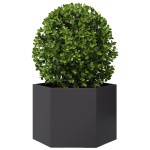 vidaXL Jardinieră de grădină negru 69x60x45 cm oțel hexagonal vidaXL Jardinieră de grădină negru 69x60x45 cm oțel hexagonal