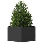 vidaXL Jardinieră de grădină negru 104x90x45 cm oțel hexagonal vidaXL Jardinieră de grădină negru 104x90x45 cm oțel hexagonal