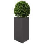 vidaXL Jardinieră de grădină negru, 50x43x75 cm, oțel, triunghiulară vidaXL Jardinieră de grădină negru, 50x43x75 cm, oțel, triunghiulară