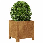 vidaXL Jardiniere de grădină 2 buc 30x30x30 cm Oțel pentru intemperii vidaXL Jardiniere de grădină 2 buc 30x30x30 cm Oțel pentru intemperii