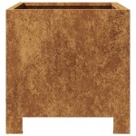 vidaXL Jardiniere de grădină 2 buc 30x30x30 cm Oțel pentru intemperii vidaXL Jardiniere de grădină 2 buc 30x30x30 cm Oțel pentru intemperii