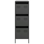 vidaXL Dulap înalt, negru, 39x35x103,5 cm, oțel vidaXL Dulap înalt, negru, 39x35x103,5 cm, oțel