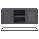 vidaXL Dulap TV, antracit, 100,5x39x60,5 cm, oțel