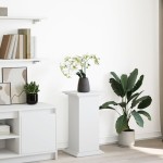 vidaXL Suport prezentare cu depozitare alb 31x30x60 cm lemn prelucrat vidaXL Suport prezentare cu depozitare alb 31x30x60 cm lemn prelucrat
