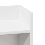 vidaXL Mese laterale 2 buc cu raft alb 25,5x27x60 cm