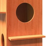 vidaXL Ceară pentru Casă pisici maro 43x43x60 cm Lemn masiv de pin vidaXL Ceară pentru Casă pisici maro 43x43x60 cm Lemn masiv de pin