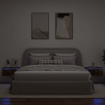 vidaXL Noptiere montate pe perete cu lumini LED, 2 buc.,stejar fumuriu vidaXL Noptiere montate pe perete cu lumini LED, 2 buc.,stejar fumuriu