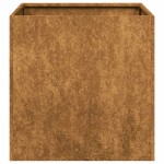 vidaXL Jardinieră Rusty 40x40x40 cm Oțel pentru intemperii vidaXL Jardinieră Rusty 40x40x40 cm Oțel pentru intemperii