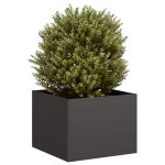 vidaXL Jardinieră Negru 40x40x30 cm Oțel vidaXL Jardinieră Negru 40x40x30 cm Oțel