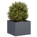 vidaXL Jardinieră Antracit 40x40x30 cm Oțel vidaXL Jardinieră Antracit 40x40x30 cm Oțel