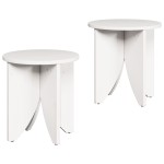 vidaXL Set de măsuțe de cafea 2 pcs Alb 41.5 x 41.5 x 44 cm
