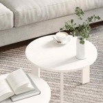 vidaXL Set de măsuțe de cafea 2 pcs Alb 47.5 x 47.5 x 27 cm