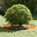 vidaXL Inel plat pentru copac Maro Ø50 / 80 cm