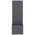 vidaXL Ecran de intimitate pentru grădină Antracit 50 x 140 cm