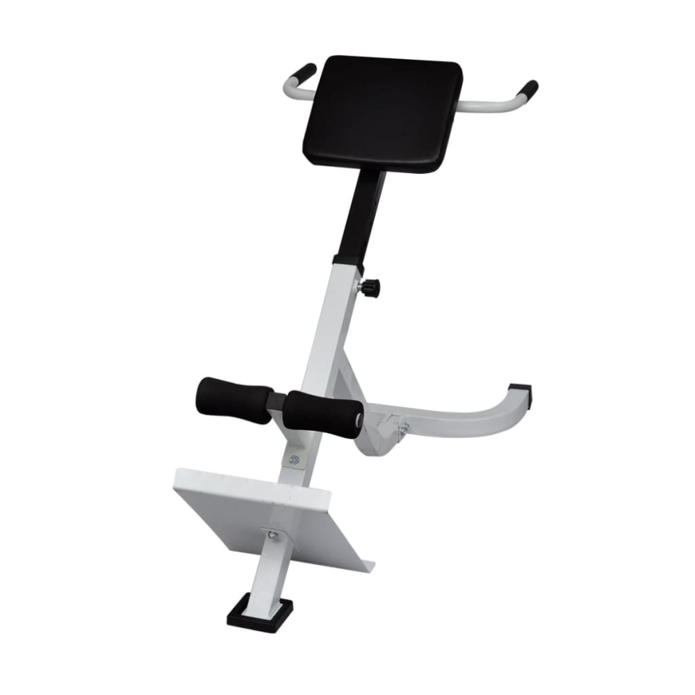vidaXL Bancă de exerciții pentru spate