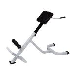 vidaXL Bancă de exerciții pentru spate vidaXL Bancă de exerciții pentru spate