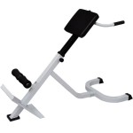 vidaXL Bancă de exerciții pentru spate vidaXL Bancă de exerciții pentru spate