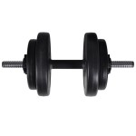 Set haltere+2 gantere 60,5kg Set haltere+2 gantere 60,5kg
