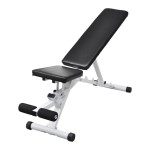 vidaXL Bancă de abdomene și exerciții fitness vidaXL Bancă de abdomene și exerciții fitness