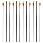Săgeți pentru arc compus 30" 0,8 cm din fibră de sticlă, 12 buc