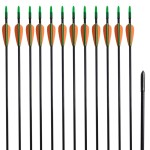Săgeți pentru arc curbat 30", 0,6 cm, 12 buc., fibră de sticlă