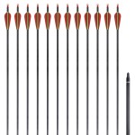 Săgeți standard arc recurv 30" 0,76 cm carbon 12 buc. Săgeți standard arc recurv 30" 0,76 cm carbon 12 buc.