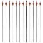 Săgeți standard arc recurv 30" 0,76 cm carbon 12 buc. Săgeți standard arc recurv 30" 0,76 cm carbon 12 buc.