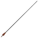 Săgeți standard arc recurv 30" 0,76 cm carbon 12 buc. Săgeți standard arc recurv 30" 0,76 cm carbon 12 buc.