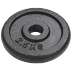 vidaXL Plăci de greutate, 8 buc., 8x2,5 kg, fontă vidaXL Plăci de greutate, 8 buc., 8x2,5 kg, fontă