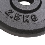 vidaXL Plăci de greutate, 8 buc., 8x2,5 kg, fontă vidaXL Plăci de greutate, 8 buc., 8x2,5 kg, fontă