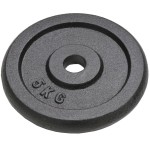vidaXL Plăci de greutate, 4 buc., 4x5 kg, fontă vidaXL Plăci de greutate, 4 buc., 4x5 kg, fontă