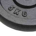 vidaXL Plăci de greutate, 4 buc., 4x5 kg, fontă vidaXL Plăci de greutate, 4 buc., 4x5 kg, fontă