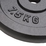 vidaXL Plăci de greutate, 4 buc., 4x7,5 kg, fontă vidaXL Plăci de greutate, 4 buc., 4x7,5 kg, fontă