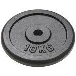 vidaXL Plăci de greutate, 2 buc., 2x10 kg, fontă vidaXL Plăci de greutate, 2 buc., 2x10 kg, fontă