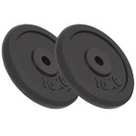 vidaXL Plăci de greutate, 2 buc., 2x10 kg, fontă vidaXL Plăci de greutate, 2 buc., 2x10 kg, fontă
