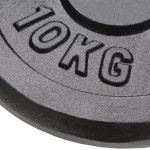 vidaXL Plăci de greutate, 2 buc., 2x10 kg, fontă vidaXL Plăci de greutate, 2 buc., 2x10 kg, fontă