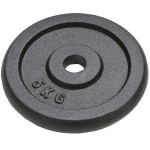 vidaXL Plăci de greutate, 4 buc., 2x10 kg+2x5 kg, fontă vidaXL Plăci de greutate, 4 buc., 2x10 kg+2x5 kg, fontă