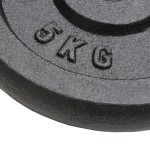vidaXL Plăci de greutate, 4 buc., 2x10 kg+2x5 kg, fontă vidaXL Plăci de greutate, 4 buc., 2x10 kg+2x5 kg, fontă