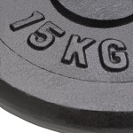 vidaXL Plăci de greutate, 2 buc., 2x15 kg, fontă vidaXL Plăci de greutate, 2 buc., 2x15 kg, fontă