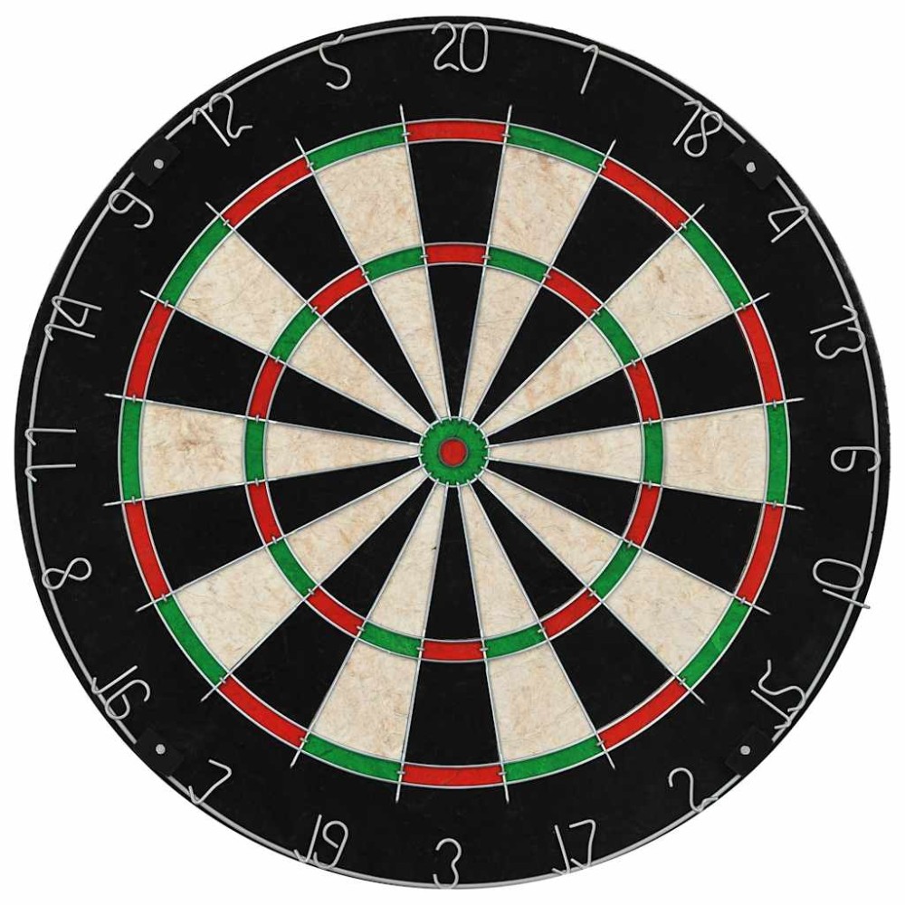 vidaXL Placă de darts profesională cu 6 săgeți, sisal