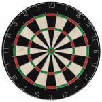 vidaXL Placă de darts profesională cu 6 săgeți, sisal vidaXL Placă de darts profesională cu 6 săgeți, sisal