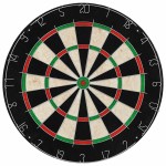 vidaXL Placă de darts profesională din sisal, cu dulap și 6 săgeți vidaXL Placă de darts profesională din sisal, cu dulap și 6 săgeți