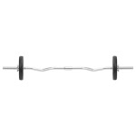 vidaXL Set de haltere și gantere, 30 kg