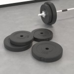 vidaXL Plăci de greutate, 4 buc., 30 kg, ciment vidaXL Plăci de greutate, 4 buc., 30 kg, ciment