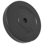 vidaXL Plăci de greutate, 4 buc., 30 kg, ciment vidaXL Plăci de greutate, 4 buc., 30 kg, ciment
