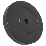 vidaXL Plăci de greutate, 4 buc., 30 kg, ciment vidaXL Plăci de greutate, 4 buc., 30 kg, ciment