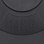 vidaXL Plăci de greutate, 2 buc., 30 kg, ciment