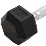 vidaXL Gantere, 2 buc., 16 kg, total fontă